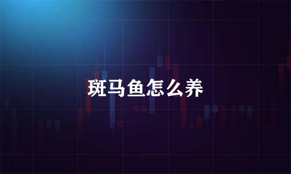 斑马鱼怎么养