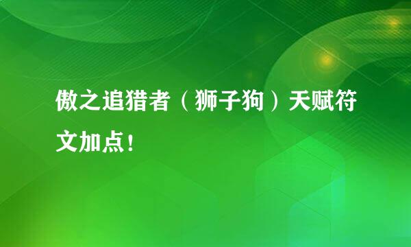 傲之追猎者（狮子狗）天赋符文加点！