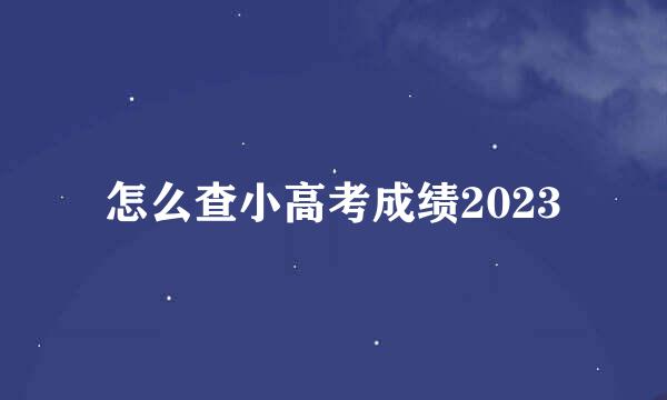 怎么查小高考成绩2023