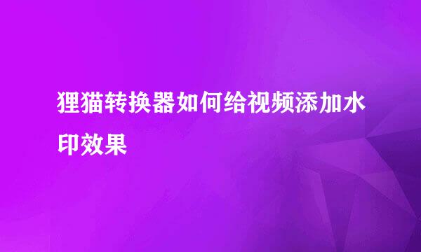 狸猫转换器如何给视频添加水印效果