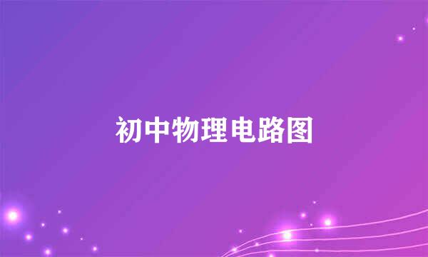 初中物理电路图