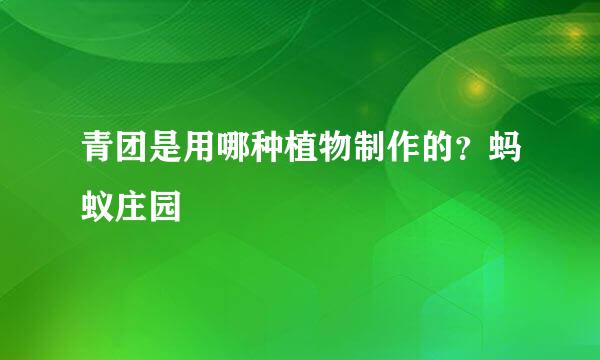 青团是用哪种植物制作的？蚂蚁庄园