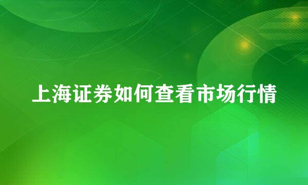 上海证券如何查看市场行情