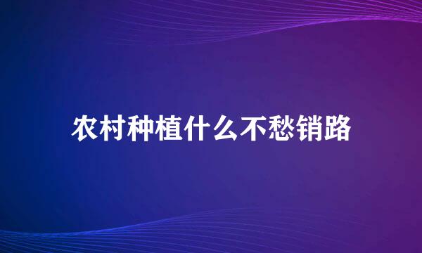 农村种植什么不愁销路