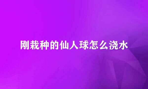 刚栽种的仙人球怎么浇水