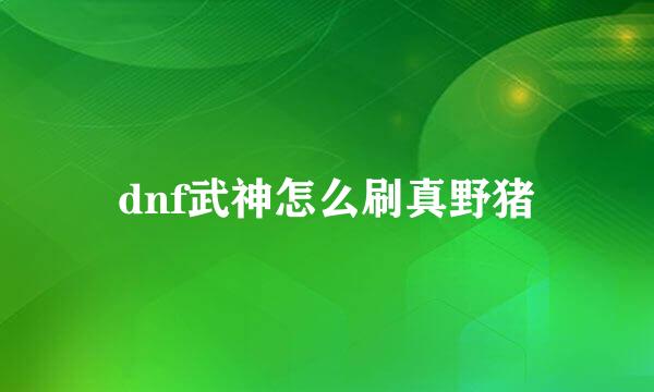 dnf武神怎么刷真野猪