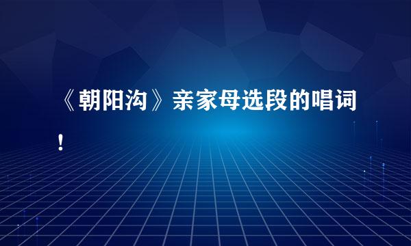《朝阳沟》亲家母选段的唱词！