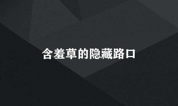 含羞草的隐藏路口