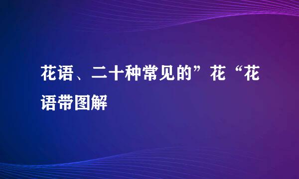 花语、二十种常见的”花“花语带图解