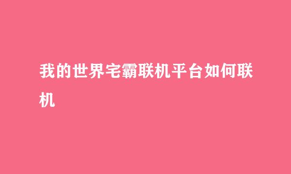 我的世界宅霸联机平台如何联机