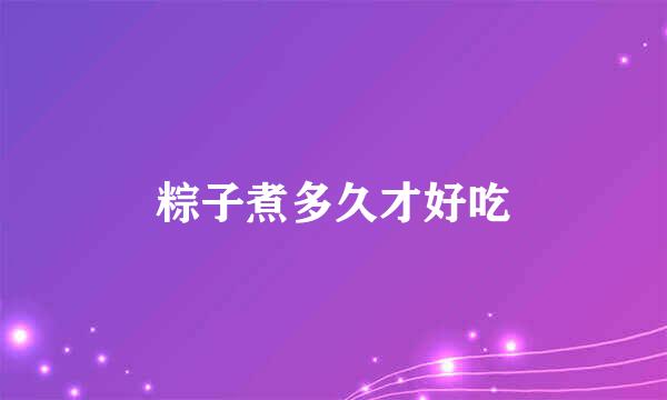 粽子煮多久才好吃