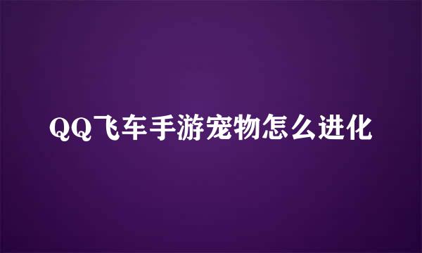 QQ飞车手游宠物怎么进化