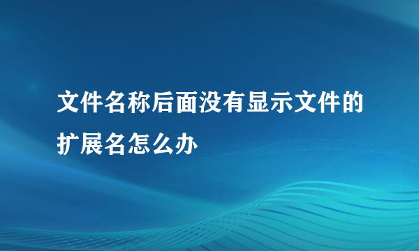 文件名称后面没有显示文件的扩展名怎么办