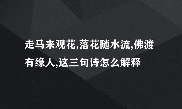 走马来观花,落花随水流,佛渡有缘人,这三句诗怎么解释