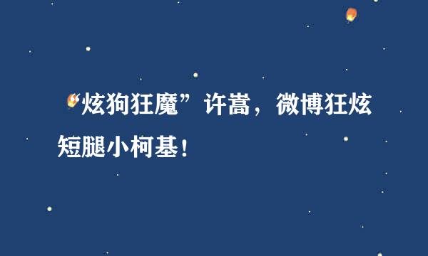 “炫狗狂魔”许嵩，微博狂炫短腿小柯基！