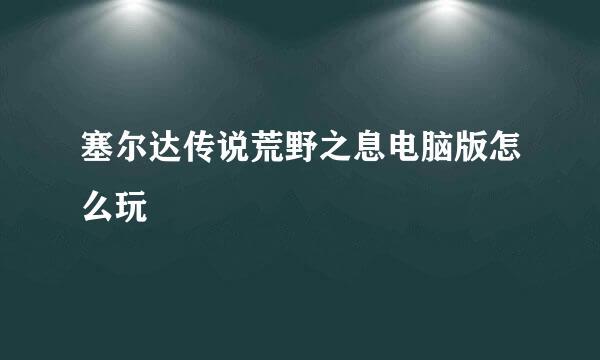 塞尔达传说荒野之息电脑版怎么玩