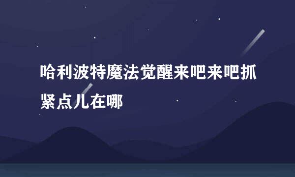 哈利波特魔法觉醒来吧来吧抓紧点儿在哪