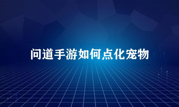 问道手游如何点化宠物