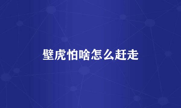 壁虎怕啥怎么赶走