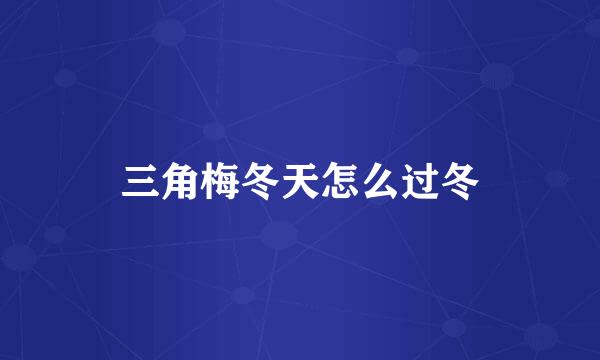 三角梅冬天怎么过冬