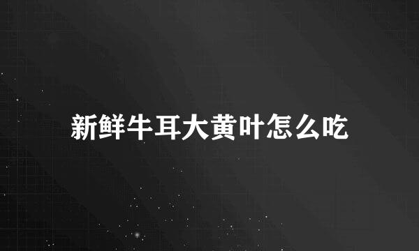 新鲜牛耳大黄叶怎么吃