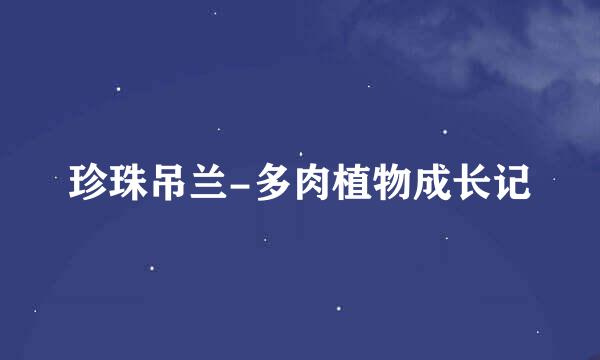 珍珠吊兰-多肉植物成长记