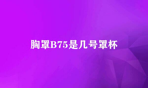 胸罩B75是几号罩杯