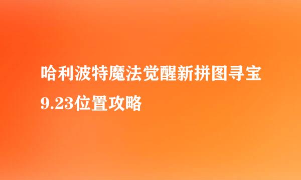 哈利波特魔法觉醒新拼图寻宝9.23位置攻略