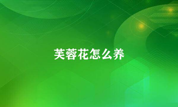 芙蓉花怎么养