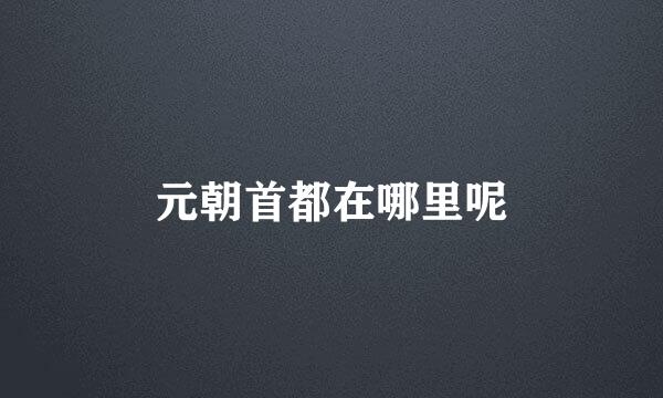 元朝首都在哪里呢