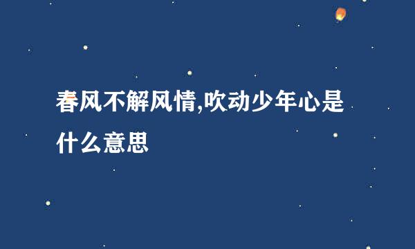 春风不解风情,吹动少年心是什么意思
