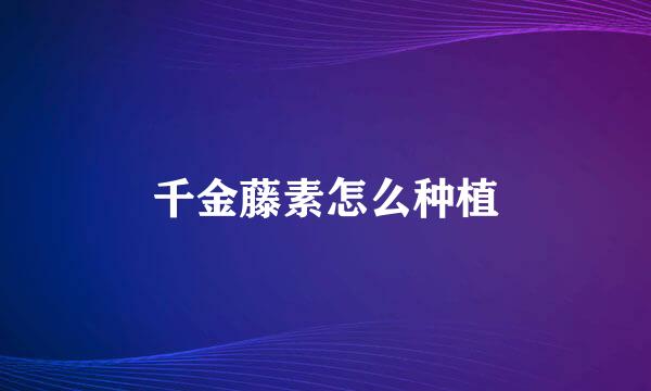 千金藤素怎么种植