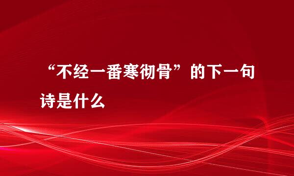 “不经一番寒彻骨”的下一句诗是什么