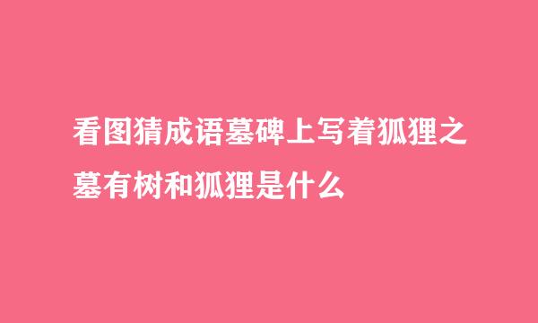 看图猜成语墓碑上写着狐狸之墓有树和狐狸是什么
