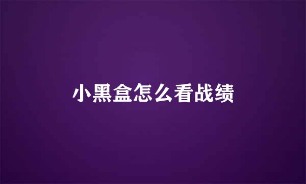 小黑盒怎么看战绩