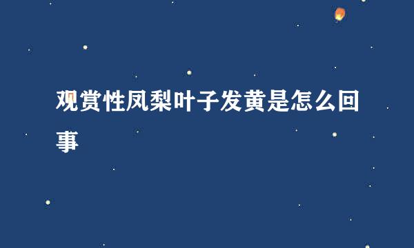 观赏性凤梨叶子发黄是怎么回事