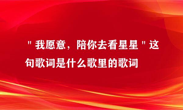 ＂我愿意，陪你去看星星＂这句歌词是什么歌里的歌词