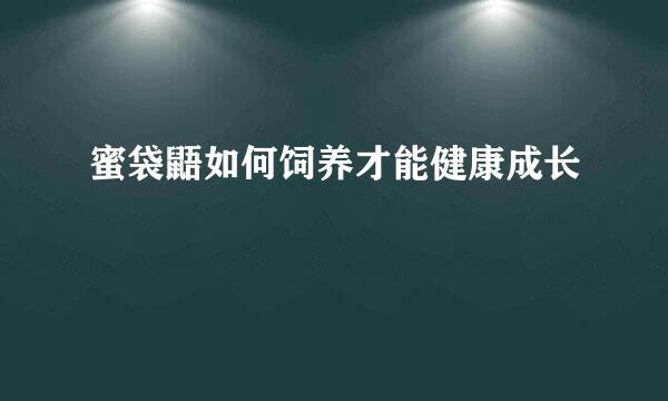 蜜袋鼯如何饲养才能健康成长