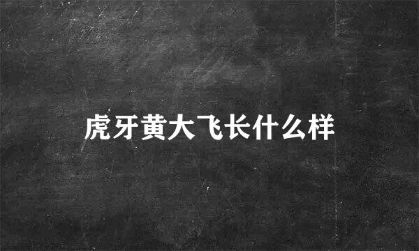 虎牙黄大飞长什么样