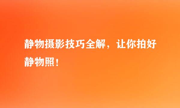 静物摄影技巧全解，让你拍好静物照！