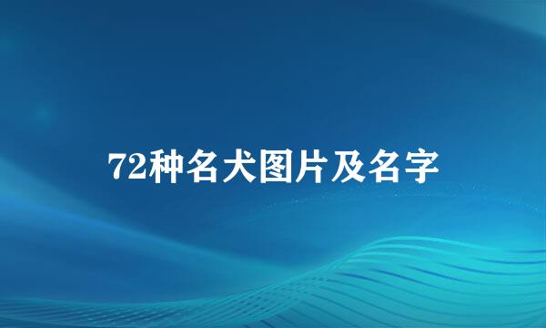 72种名犬图片及名字