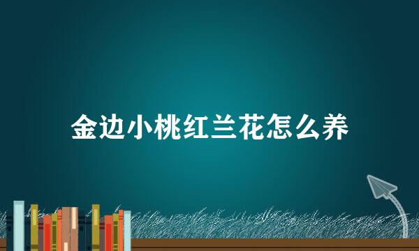 金边小桃红兰花怎么养