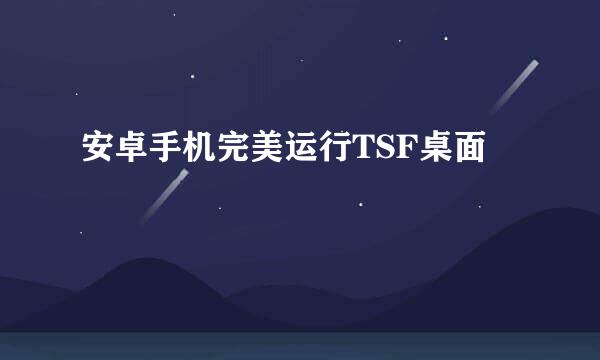 安卓手机完美运行TSF桌面