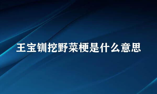 王宝钏挖野菜梗是什么意思