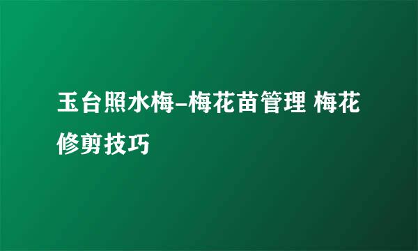 玉台照水梅-梅花苗管理 梅花修剪技巧