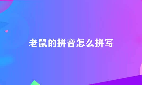 老鼠的拼音怎么拼写