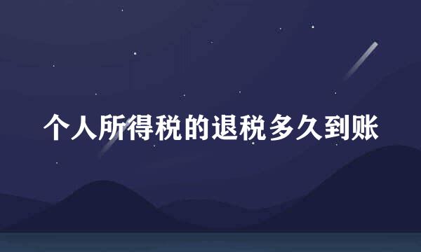 个人所得税的退税多久到账