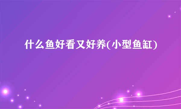 什么鱼好看又好养(小型鱼缸)