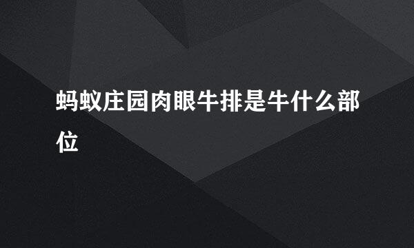 蚂蚁庄园肉眼牛排是牛什么部位