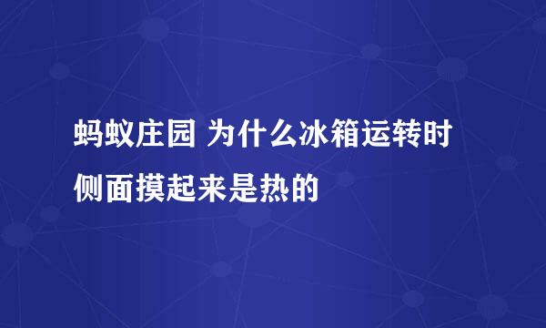 蚂蚁庄园 为什么冰箱运转时侧面摸起来是热的